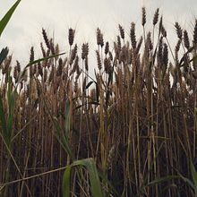 Rendere visibile l'invisibile. Photograph project by Antonella Forte - 08.05.2021