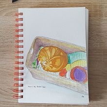 Watercolor & Inkdrawings of Cats. Traditional illustration, and Painting project by a_zecha - 08.05.2021