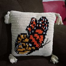 Intarsia crochet . Crochê projeto de Veronica Ponce - 03.07.2021