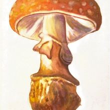 Mi Proyecto del curso: Ilustración de elementos naturales en acuarela. Traditional illustration, Watercolor Painting, and Naturalistic Illustration project by Osvaldo Hurtado - 08.05.2021