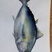 Mi Proyecto del curso: Ilustración de universos marinos en acuarela. Projekt z dziedziny Trad, c, jna ilustracja,  Malarstwo, Malowanie akwarelą, Ilustracja naturalist i czna użytkownika Laura Poletti - 06.08.2021