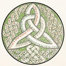 Celtic Botanica Australis Ein Projekt aus dem Bereich Traditionelle Illustration von Linda Hutchison - 06.08.2021