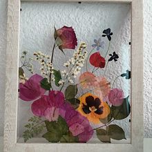Mi Proyecto del curso: Técnicas básicas de prensado botánico. Un proyecto de Artesanía, Bellas Artes, Collage, DIY, Diseño floral y vegetal de Vanesa - 07.08.2021