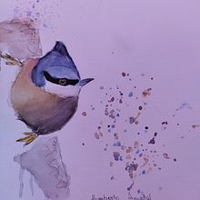 Meu projeto do curso: Técnicas expressivas de aquarela para ilustração de pássaros. Un projet de Illustration traditionnelle, Aquarelle, Dessin réaliste et Illustration naturaliste de amaral_beto_07 - 08.08.2021