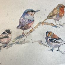 My project in Artistic Watercolor Techniques for Illustrating Birds course. Traditional illustration, Watercolor Painting, and Realistic Drawing project by jartrap - 08.08.2021