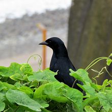 Mi Proyecto del curso: Fotografía para principiantes: descubre tu cámara digital. Un projet de Photographie, Photographie numérique , et Composition photographique de Zami Gomez - 09.08.2021