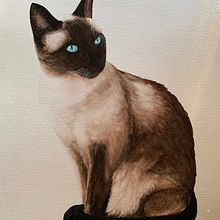 My project in Expressive Animal Portraits in Watercolor course. Projekt z dziedziny Trad, c, jna ilustracja, Malowanie akwarelą, R, sunek realist, czn, Ilustracja naturalist i czna użytkownika Sandra De - 09.08.2021