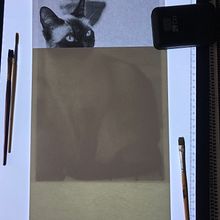 My project in Expressive Animal Portraits in Watercolor course. Traditional illustration, Watercolor Painting, Realistic Drawing, and Naturalistic Illustration project by Fergal McGreevy - 08.09.2021