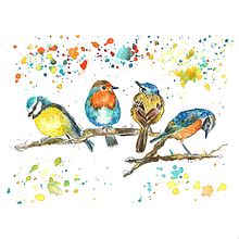 Mi Proyecto del curso: Acuarela artística para ilustración de aves. Un progetto di Illustrazione tradizionale, Pittura ad acquerello, Disegno realistico e Illustrazione naturalistica di Mercedes Lamborelle - 09.07.2021