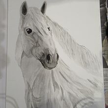 My project in Expressive Animal Portraits in Watercolor course. Traditional illustration, Watercolor Painting, Realistic Drawing, and Naturalistic Illustration project by Julia C - 08.09.2021
