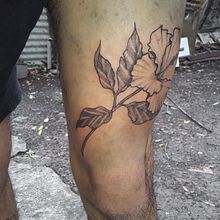 Mi Proyecto del curso: Tatuaje botánico con puntillismo. Un progetto di Illustrazione tradizionale, Design di tatuaggi e Illustrazione botanica di Valentino Gorosito - 09.08.2021