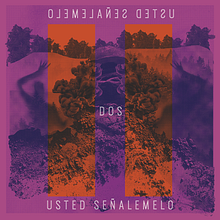 II - Usted Señalemelo - PF: Dirección de arte para portadas de discos. Art Direction, Br, ing, Identit, Graphic Design, Packaging, and Collage project by evelindcv - 06.04.2020