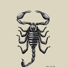 My project in Digital Design and Illustration of Tattoos with Procreate course. Un projet de Illustration traditionnelle, Design graphique, Illustration numérique, Conception de tatouage , et Dessin numérique de Diana Poell - 10.08.2021