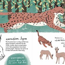 My project in Wildlife Illustration for Children's Books course. Un proyecto de Ilustración vectorial, Ilustración digital e Ilustración infantil de Nicola Hawley - 10.08.2021