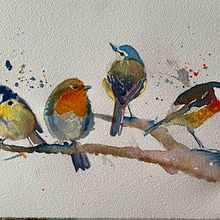 My project in Artistic Watercolor Techniques for Illustrating Birds course. Un projet de Illustration traditionnelle, Aquarelle, Dessin réaliste et Illustration naturaliste de Sarah Force - 08.08.2021