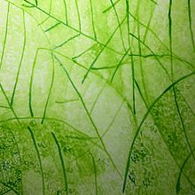 Mi Proyecto del curso: Técnicas modernas de acuarela. Un progetto di Illustrazione tradizionale, Belle arti, Pittura e Pittura ad acquerello di ESTHER CASAS - 11.08.2021