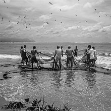 Trabalhadores do Mar. Un proyecto de Fotografía, Fotografía de retrato, Fotografía artística y Fotografía documental de Cris Burmester - 11.08.2021