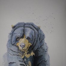 Proyecto del curso: Retratos expresivos de animales en acuarela . Un progetto di Illustrazione tradizionale, Pittura ad acquerello, Disegno realistico e Illustrazione naturalistica di Ernesto Alvarado Garcia - 12.08.2021