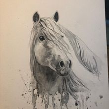 My project in Expressive Animal Portraits in Watercolor course . % Barbara Smith tarafından hazırlanan Geleneksel illüstras, on, Sulubo, a Resim, Gerçekçi Çizim, Doğalcı İllüstras, Ve on projesi - 08.07.2021