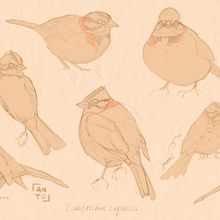 Mi Proyecto del curso: Introducción a Procreate . Ilustrație tradițională, Desen, Ilustrație digitală, Desen digital și Pictură digitală de Anto Rivera Callejón - 08.13.2021