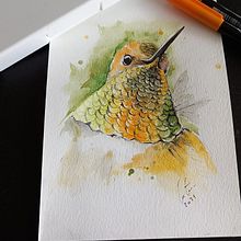 Rufous hummingbird . Een project van  Tekening y Aquarelschilderen van Nelson Martins - 06.08.2021