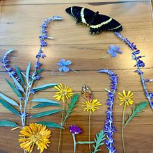 Mi Proyecto del curso: Técnicas básicas de prensado botánico. Un proyecto de Artesanía, Bellas Artes, Collage, DIY, Diseño floral y vegetal de Betsabé Rosas - 09.08.2021