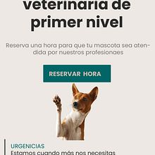 Mi Proyecto del curso: Diseño de interfaces para sitios web y aplicaciones. UX / UI, Graphic Design, Interactive Design, Web Design, Mobile Design, Digital Design, and App Design project by naim16899 - 08.13.2021