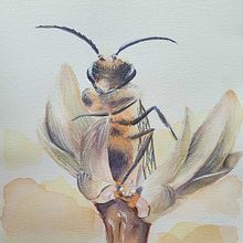 My project in Experimental Watercolor Techniques for Beginners course. Un progetto di Illustrazione tradizionale, Belle arti, Pittura ad acquerello e Illustrazione naturalistica di Anna Juskova - 13.08.2021