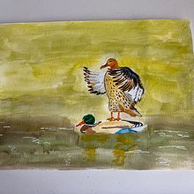 My project in Illustrating Nature: A Creative Exploration course. Un proyecto de Ilustración tradicional, Pintura, Dibujo, Pintura a la acuarela, Ilustración con tinta e Ilustración naturalista				 de Irina Evans - 16.08.2021