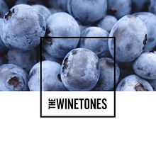 The Winetones. Un proyecto de Br, ing e Identidad, Dirección de arte y Packaging de Mateo Parrilla - 14.08.2021