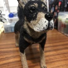 Mi Proyecto del curso: Creación de animales con needle felting. Un proyecto de Artesanía, Diseño de juguetes y Tejido de Fernanda Orozco - 14.08.2021