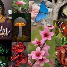 My project in Digital Fantasy Portraits with Photoshop course . % Marcos Vinicius Garcia tarafından hazırlanan Geleneksel illüstras, on, Çizim, Dijital İllüstras, on, Portre Çizimi, Dijital Çizim, Dijital Bo, Ve ama projesi - 08.14.2021