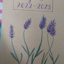 Mi Proyecto del curso:  Bullet journal creativo: planificación y creatividad . Traditional illustration, Lettering, Drawing, H, and Lettering project by Michele Call - 08.15.2021