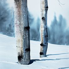 Birch Winter landscape. Fine Arts, and Watercolor Painting project by Christian Koivumaa - 08.15.2021