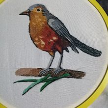 Mi Proyecto del curso: Pintar con hilo: técnicas de ilustración textil Mi zorzal. Een project van Traditionele illustratie y Borduurwerk van Eldita Ojero - 15.08.2021