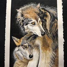 My project in Expressive Animal Portraits in Watercolor course. Projekt z dziedziny Trad, c, jna ilustracja, Malowanie akwarelą, R, sunek realist, czn, Ilustracja naturalist i czna użytkownika John Keselyak - 15.08.2021