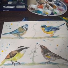 Mi Proyecto del curso: Acuarela artística para ilustración de aves. Een project van Traditionele illustratie, Aquarelschilderen, Realistische tekening y Naturalistische illustratie van Alejandra Huerta - 16.08.2021
