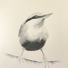 Artistica Watercolour class - birds. Traditional illustration project by josephinetanton - 08.16.2021