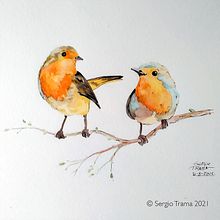 Il mio progetto del corso: Acquerello artistico per illustrazione di animali: gli uccelli. Een project van Traditionele illustratie, Aquarelschilderen, Realistische tekening y Naturalistische illustratie van Sergio G. M. Trama - 16.08.2021