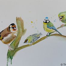 My project in Artistic Watercolor Techniques for Illustrating Birds course. Traditional illustration, Watercolor Painting, Realistic Drawing, and Naturalistic Illustration project by Thomas Larsson - 08.23.2021