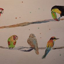 Mein Kursprojekt: Illustriere Vögel mit expressiven Aquarelltechniken. Un proyecto de Ilustración tradicional, Pintura a la acuarela, Dibujo realista e Ilustración naturalista				 de Petra Köster - 16.08.2021