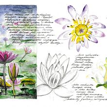 My project in Watercolor Travel Journal course. Traditional illustration, Watercolor Painting, Architectural Illustration, and Sketchbook project by Joanna Zakrzewska - 08.16.2021