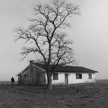 Mi Proyecto del curso: Guía práctica para aprender a manejar tu cámara digital desde cero. Fotografia, e Fotografia digital projeto de rociovazquezloca - 17.08.2021