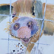 My project in Expressive Animal Portraits in Watercolor course. Traditional illustration, Watercolor Painting, Realistic Drawing, and Naturalistic Illustration project by Yang Xu - 08.17.2021