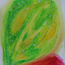 My project in Illustrating Nature: A Creative Exploration course. Un proyecto de Ilustración tradicional, Pintura, Dibujo, Pintura a la acuarela, Ilustración con tinta e Ilustración naturalista				 de Merve Güleç - 05.07.2021