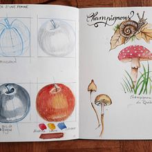 Mon projet du cours : Carnet botanique à l’aquarelle. Un proyecto de Ilustración tradicional, Pintura a la acuarela, Ilustración botánica y Sketchbook de Florence Miralles - 19.08.2021