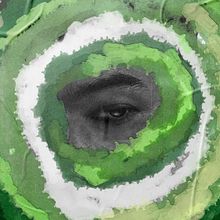 SEEING GREEN POSTER. Photograph project by Aitor Santana - 08.13.2021