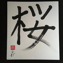 Sakura (Flor del Cerezo). Calligraph project by Jose Bermejo - 08.18.2021