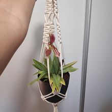 Suporte para vasos. Un progetto di Design di accessori, Artigianato, Interior Design, Fiber Art e Macramè di Sílvia Pereira - 19.08.2021
