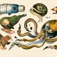 Material Creature Collection. Un progetto di Illustrazione tradizionale, Pittura ad acquerello e Disegno di Julie Benbassat - 20.08.2021